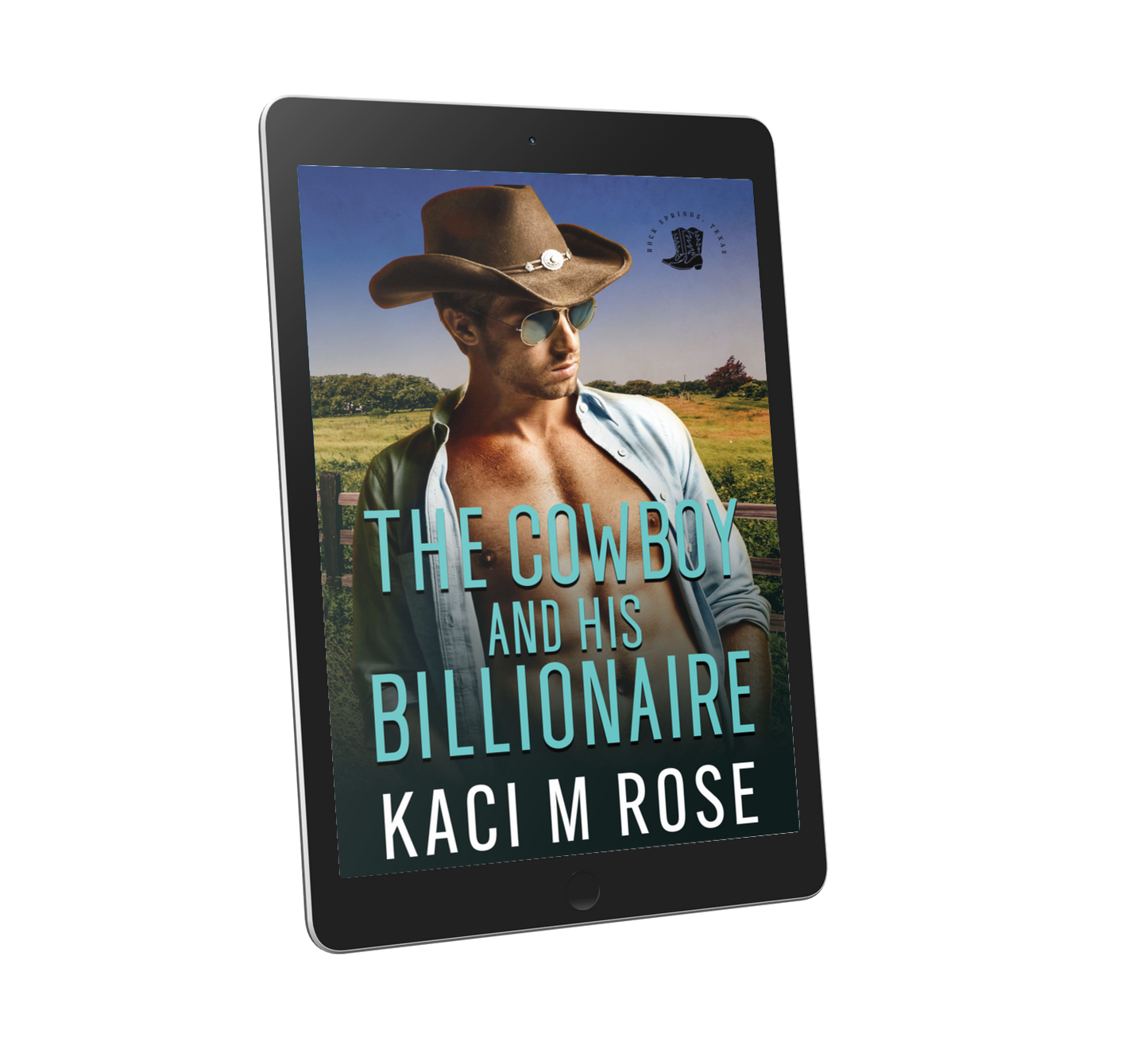 The Cowboy and His Billionaire (EBOOK)
