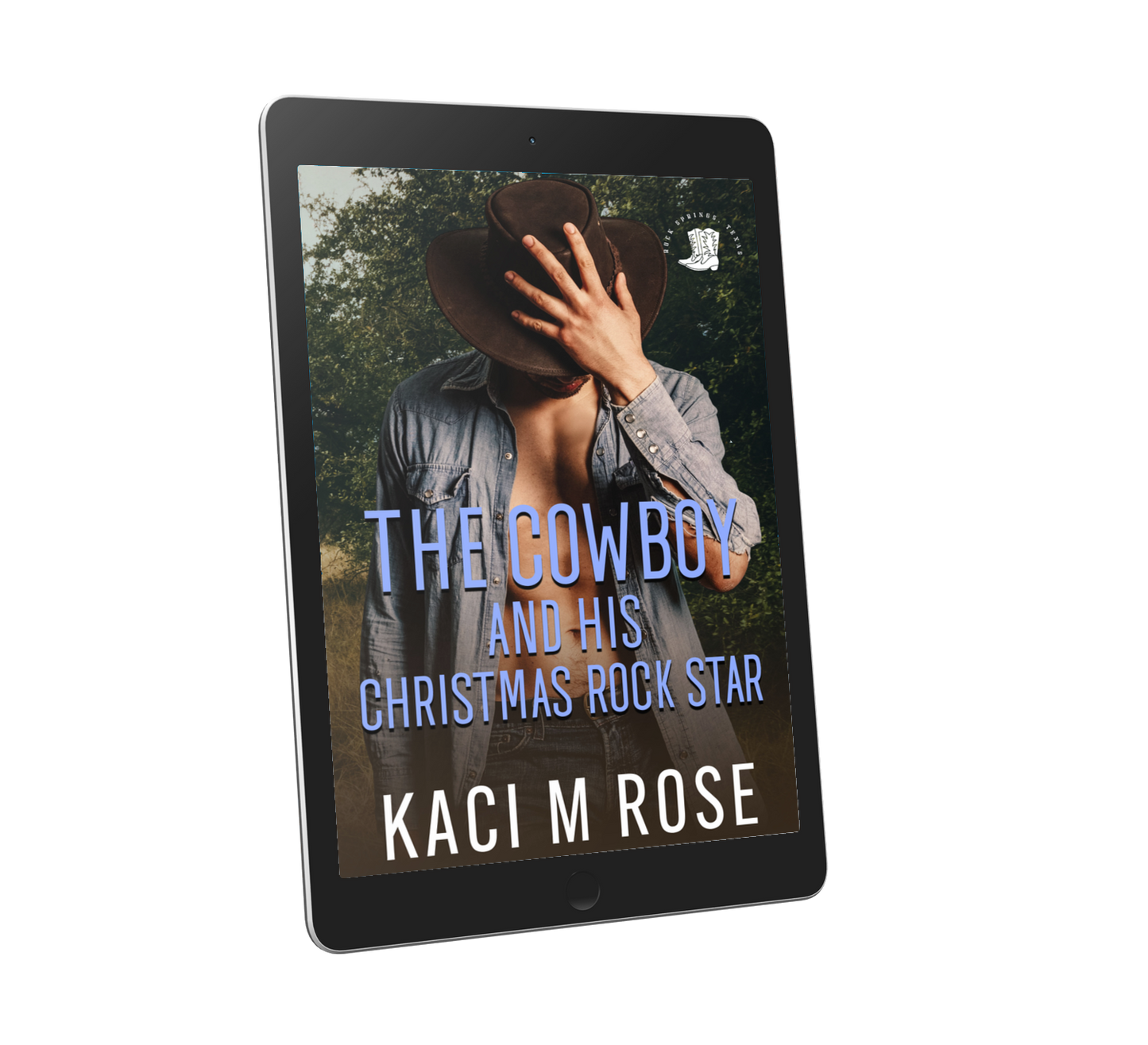 The Cowboy and His Christmas Rock Star (EBOOK)