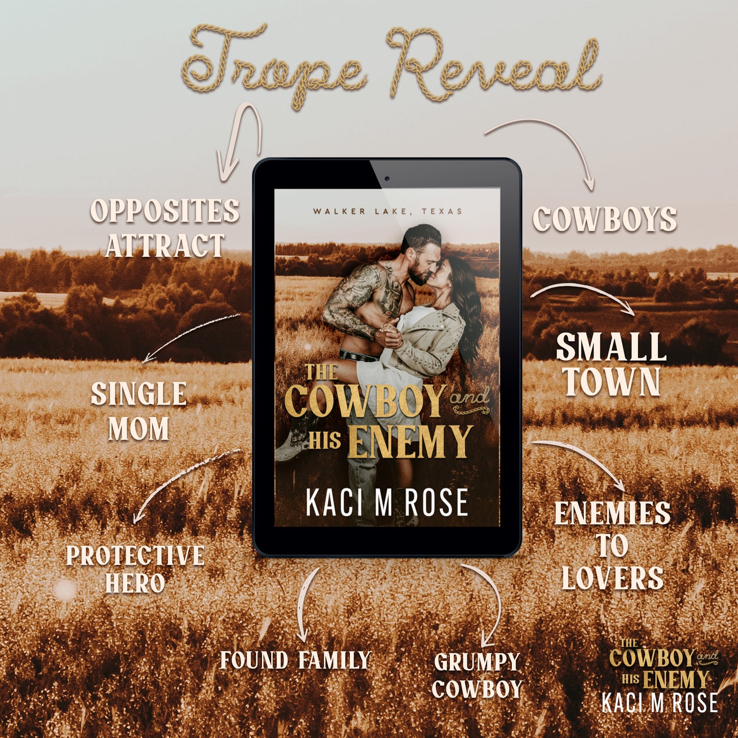 The Cowboy and His Enemy Tropes