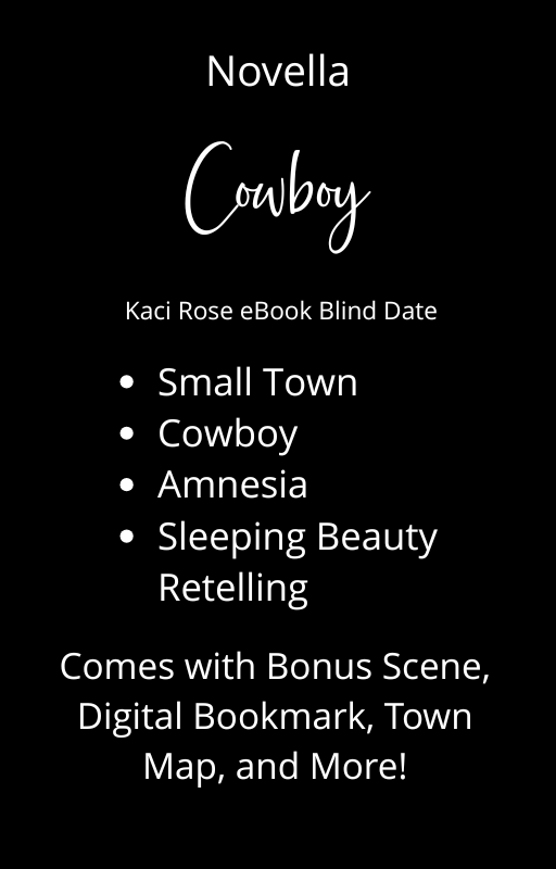 Cowboy Romance Novella Blind Date Book
