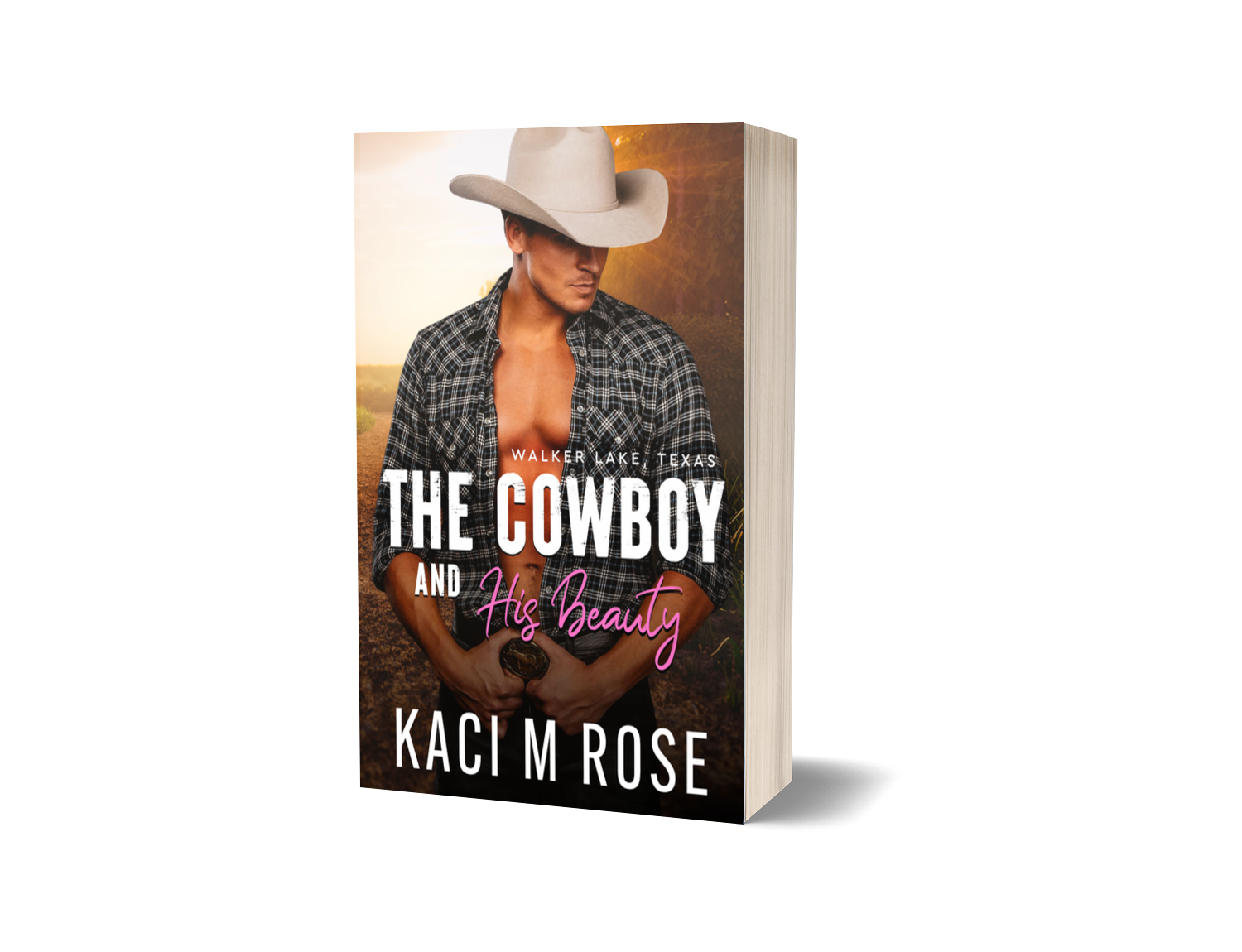 The Cowboy And His Beauty – Author Kaci Rose Bookshop