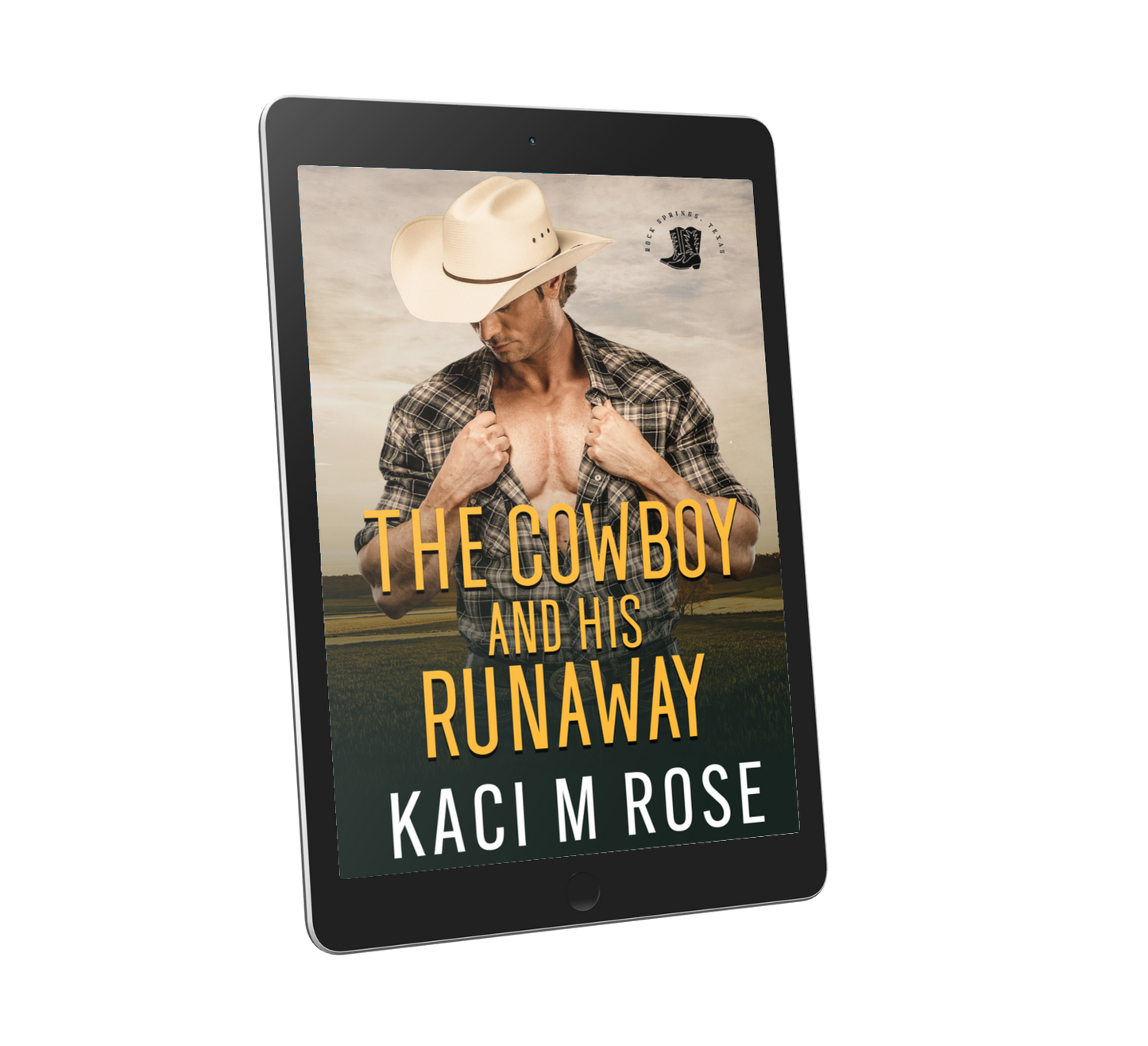 The Cowboy and His Runaway (EBOOK)