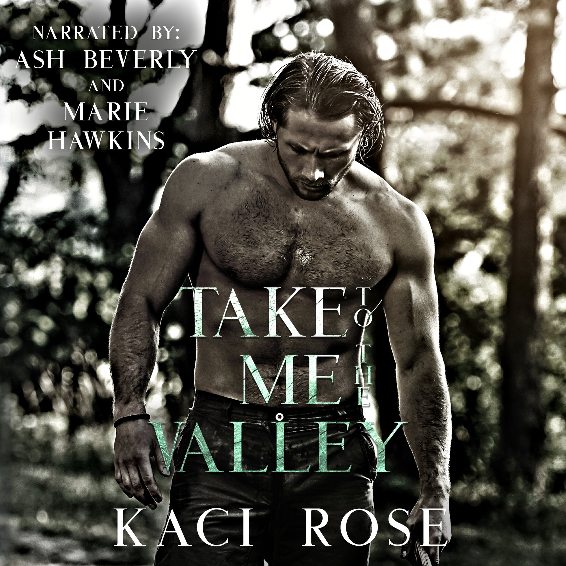 Take Me To The Valley Audiobook Cover