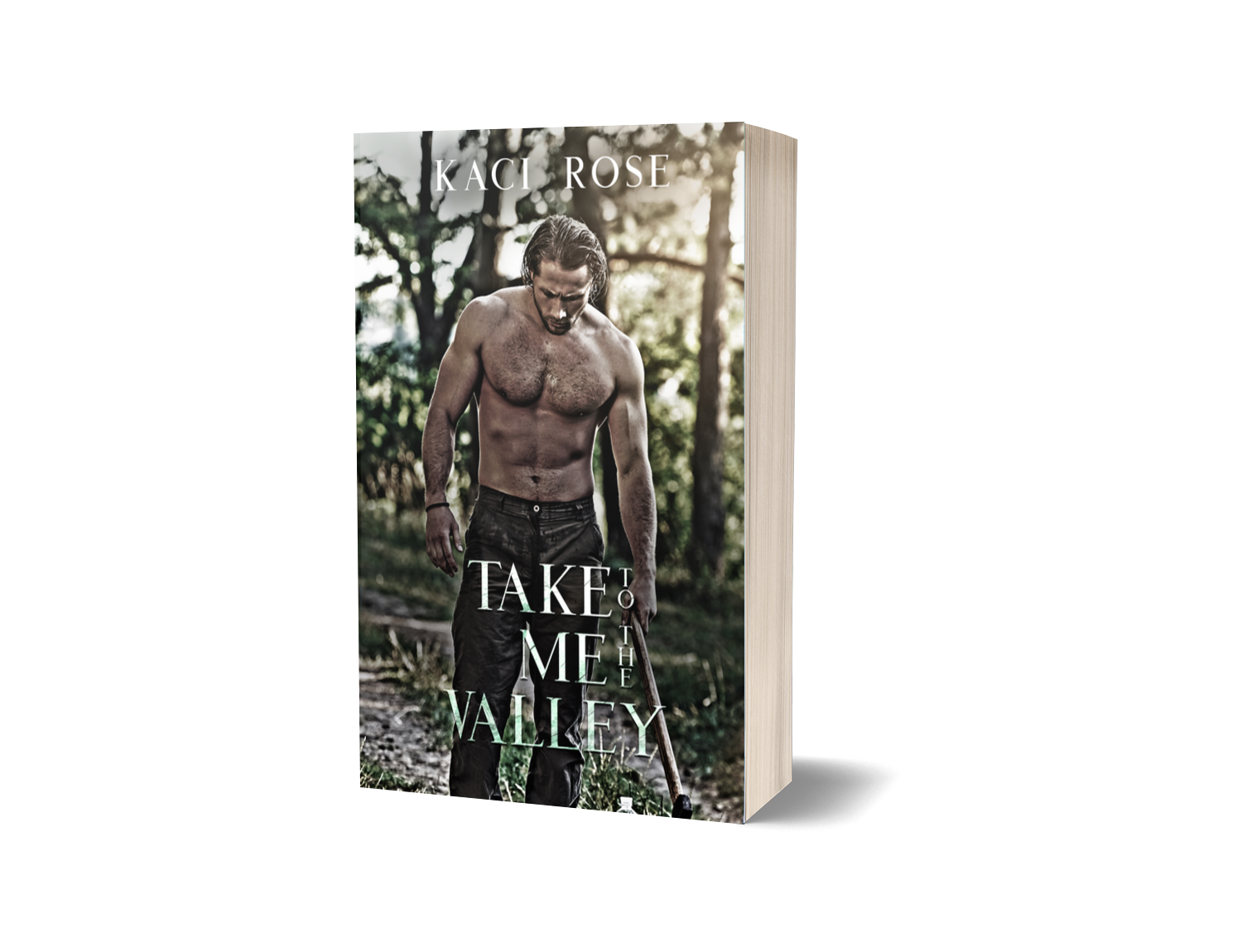Take Me To The Valley Paperback Kaci Rose