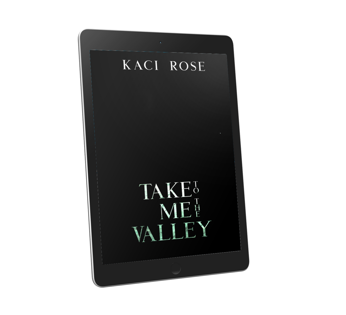 Take Me To The Valley (EBOOK) (PREORDER)