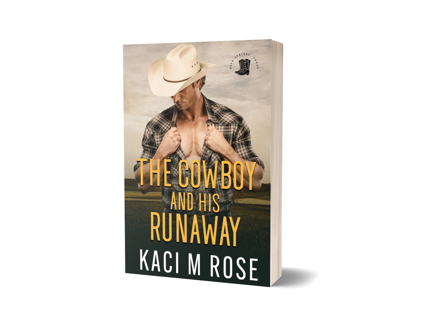 The Cowboy And His Runaway Romance Paperback Kaci M Rose