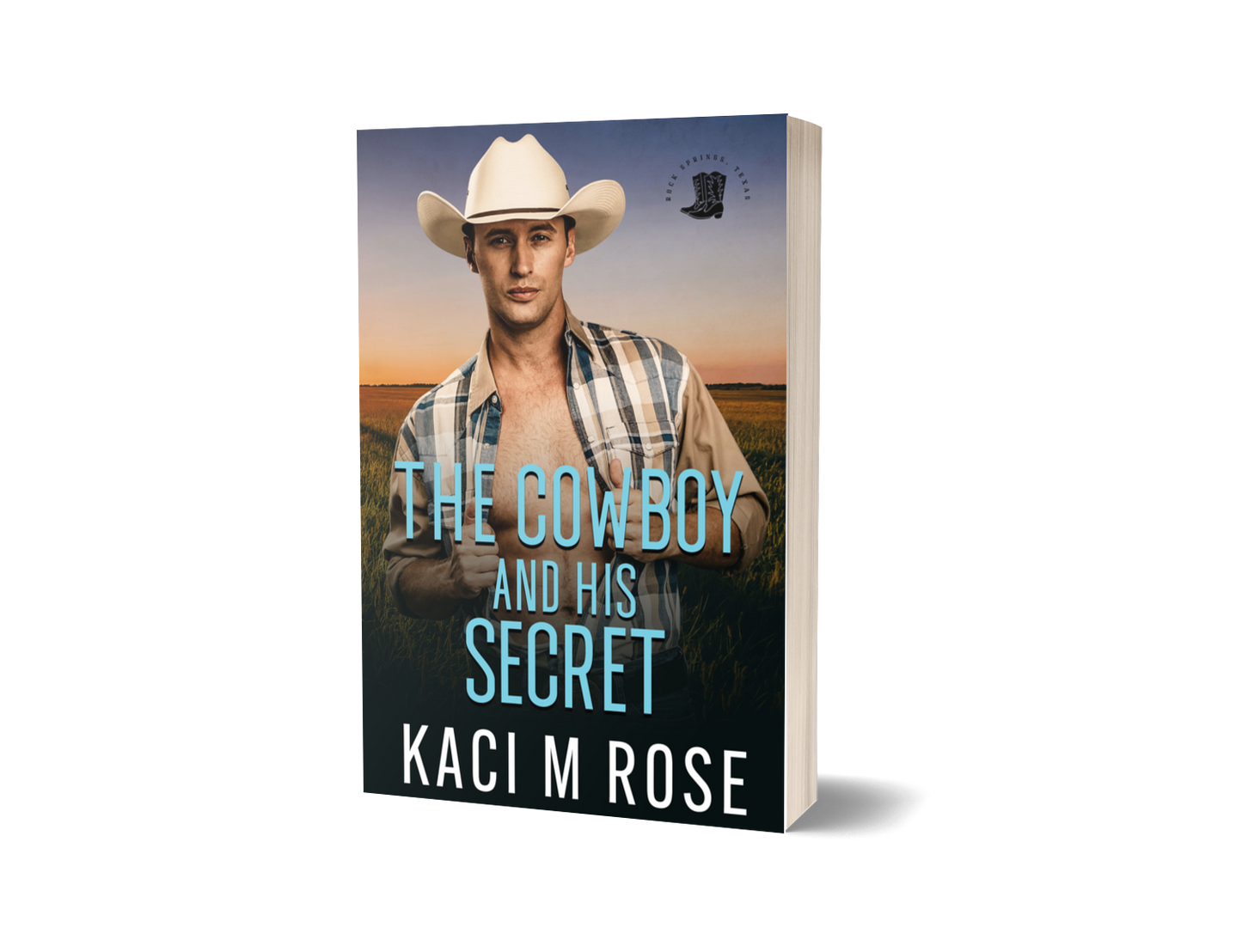 The Cowboy And HIs Secret Paperback Kaci M Rose