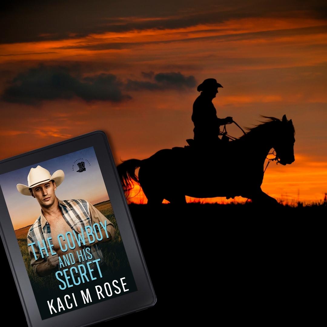The Cowboy And His Secret Kaci M Rose